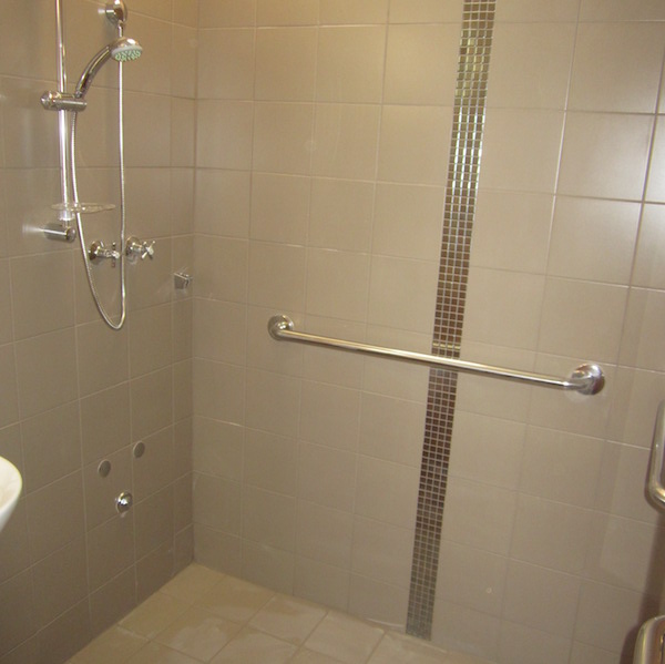 Shower with grab rails
